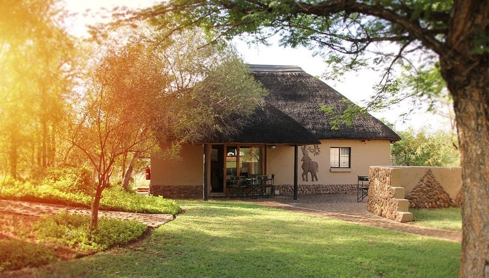 Ukutula Lion Lodge Beestekraal (Madibeng) Exterior foto